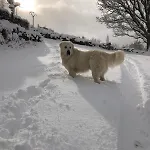 Apartment Acogedor A Puertas De Ordesa
