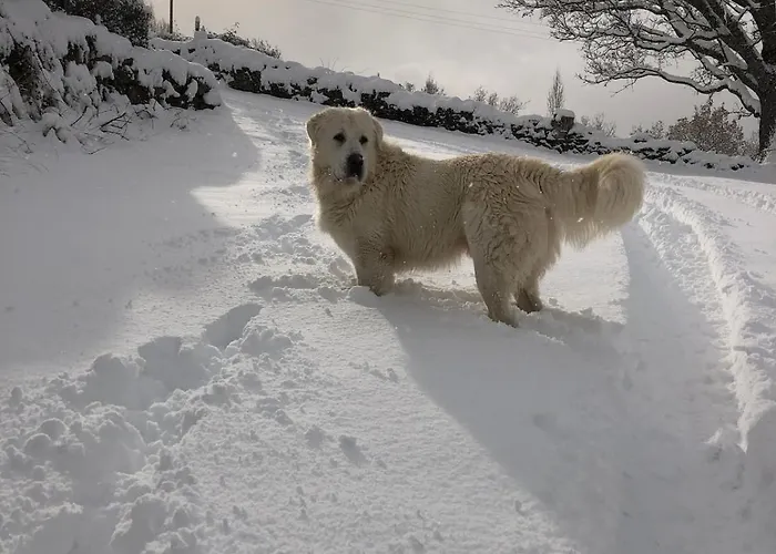 Apartamento Acogedor A Puertas De Ordesa